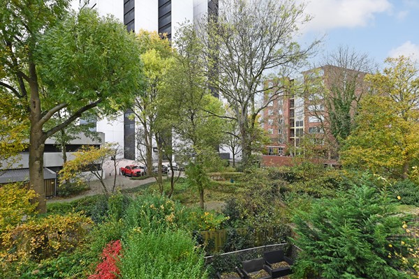 Medium property photo - Honingerdijk 79A01, 3063 AK Rotterdam